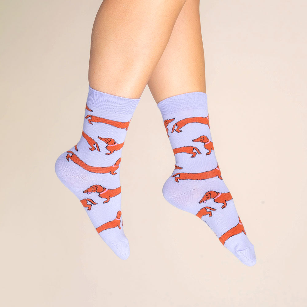 Dachshund Socks