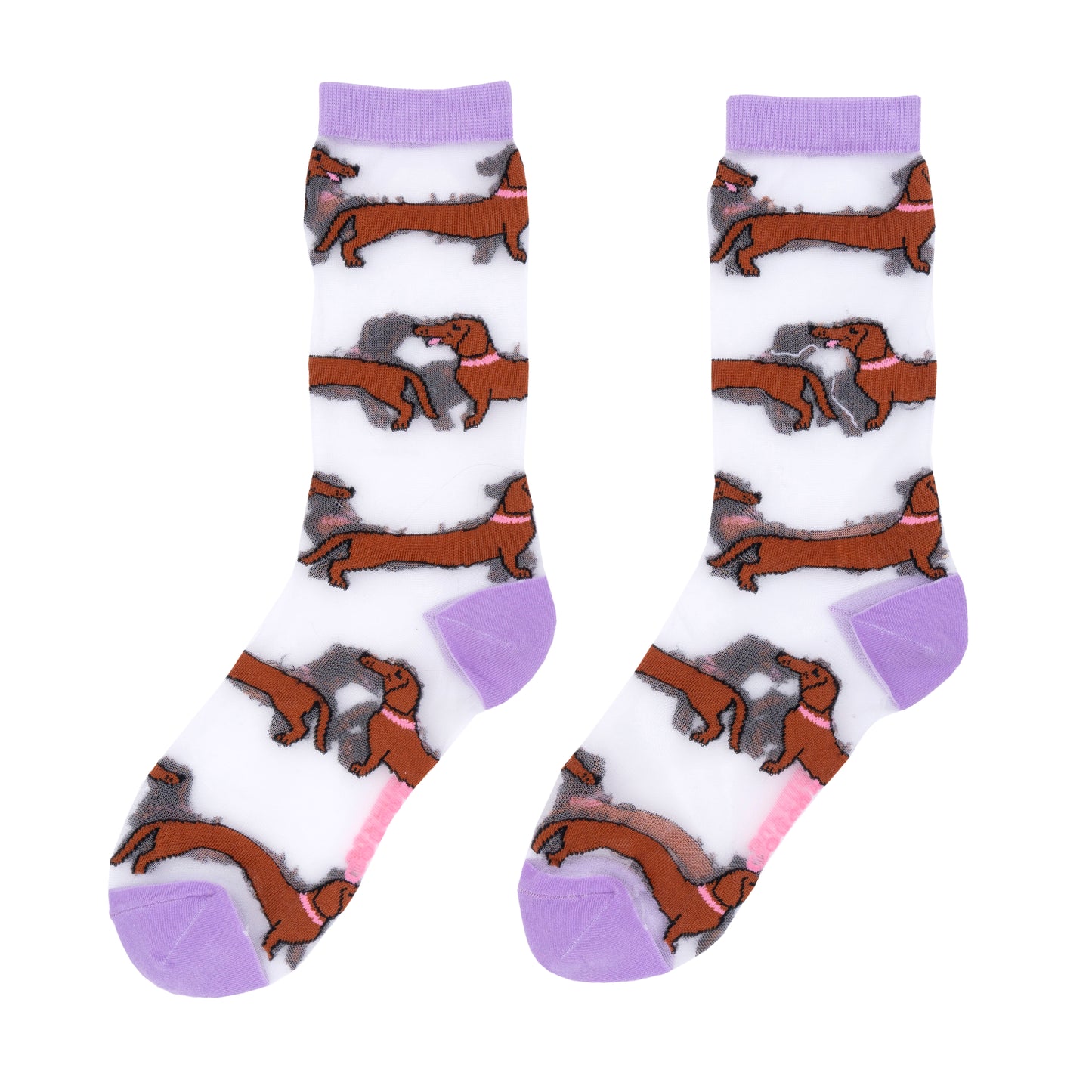 Dachshund Sheer Socks