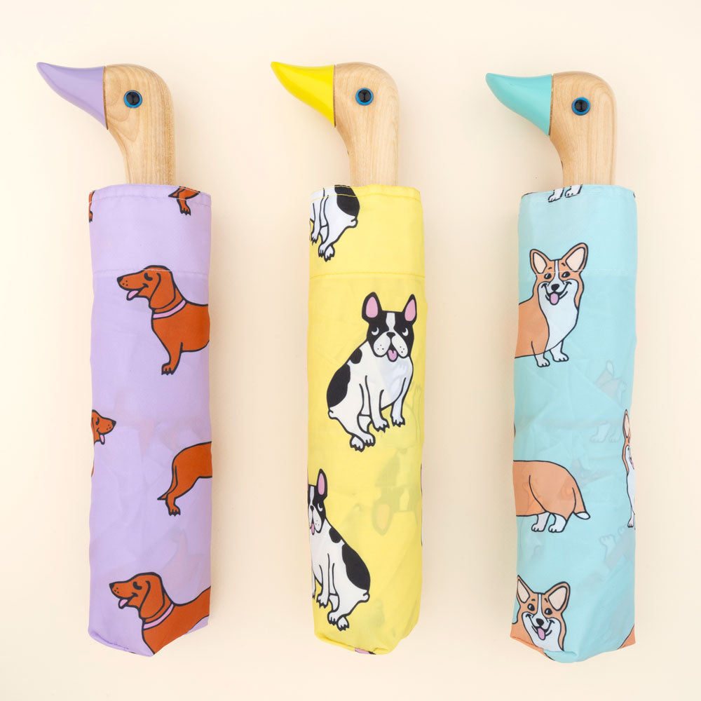 Dachshund Umbrella