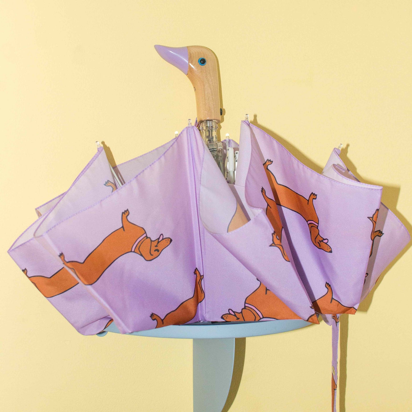 Dachshund Umbrella