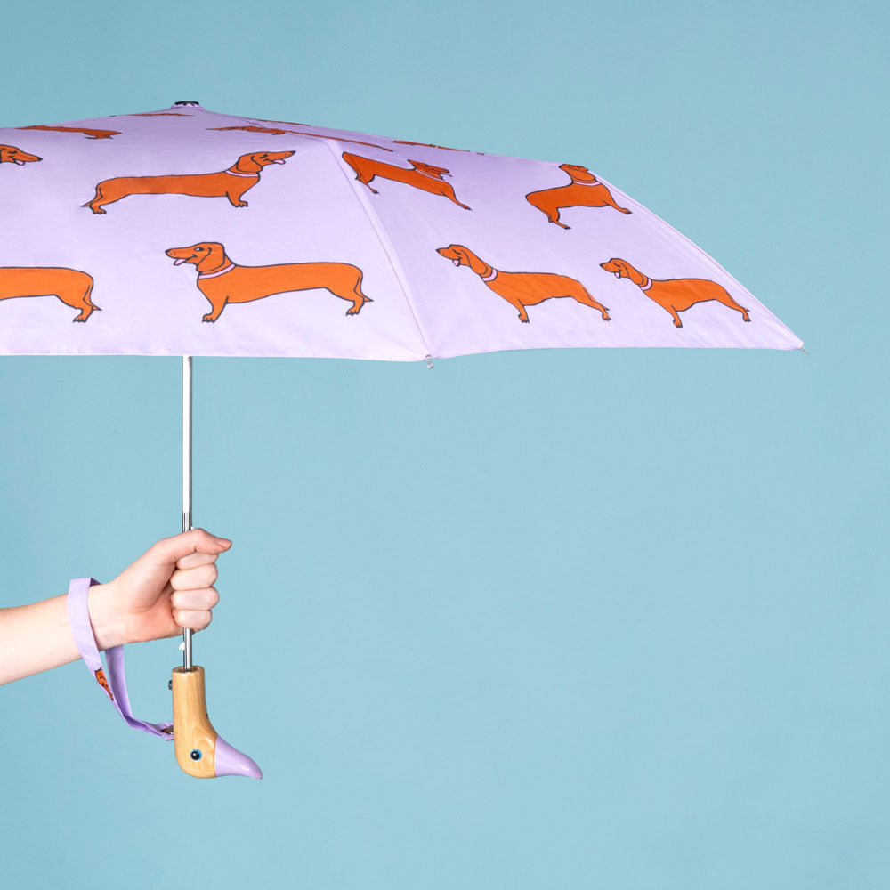 Dachshund Umbrella