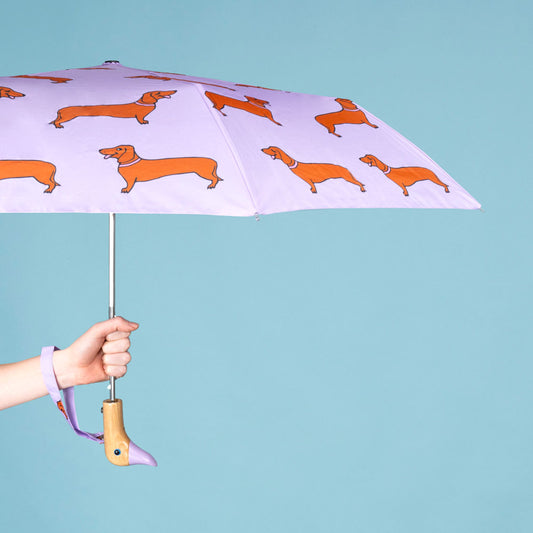 Parapluie Teckel