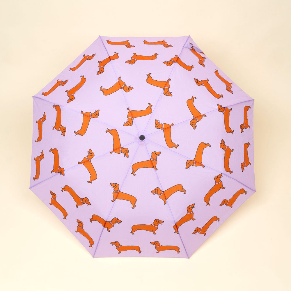 Dachshund Umbrella