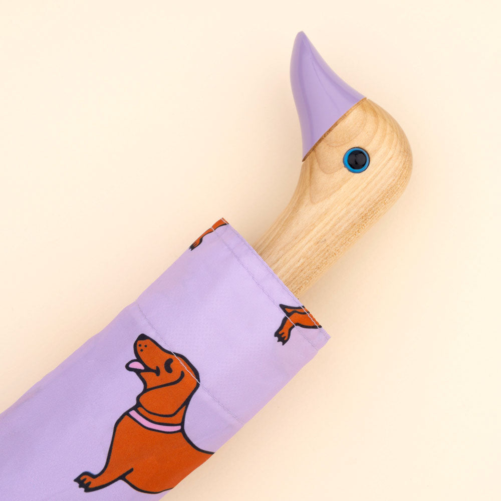 Dachshund Umbrella