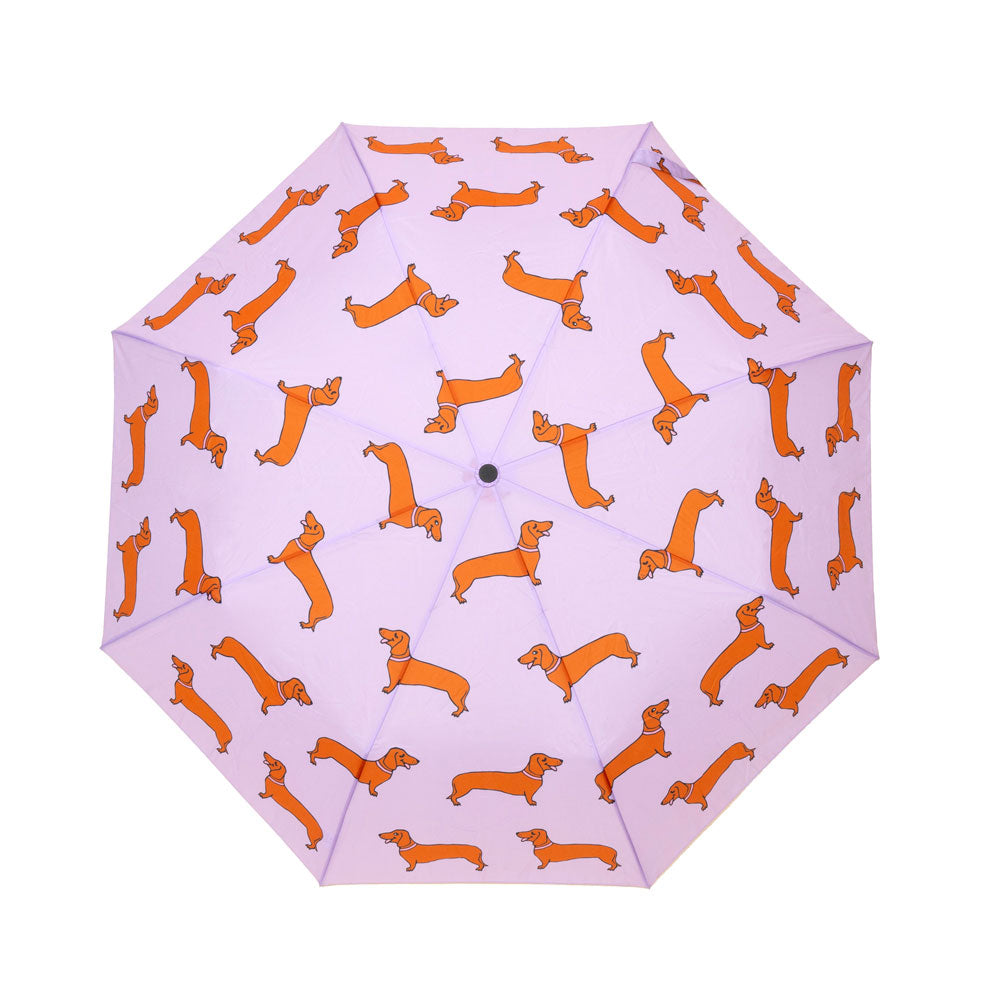 Dachshund Umbrella