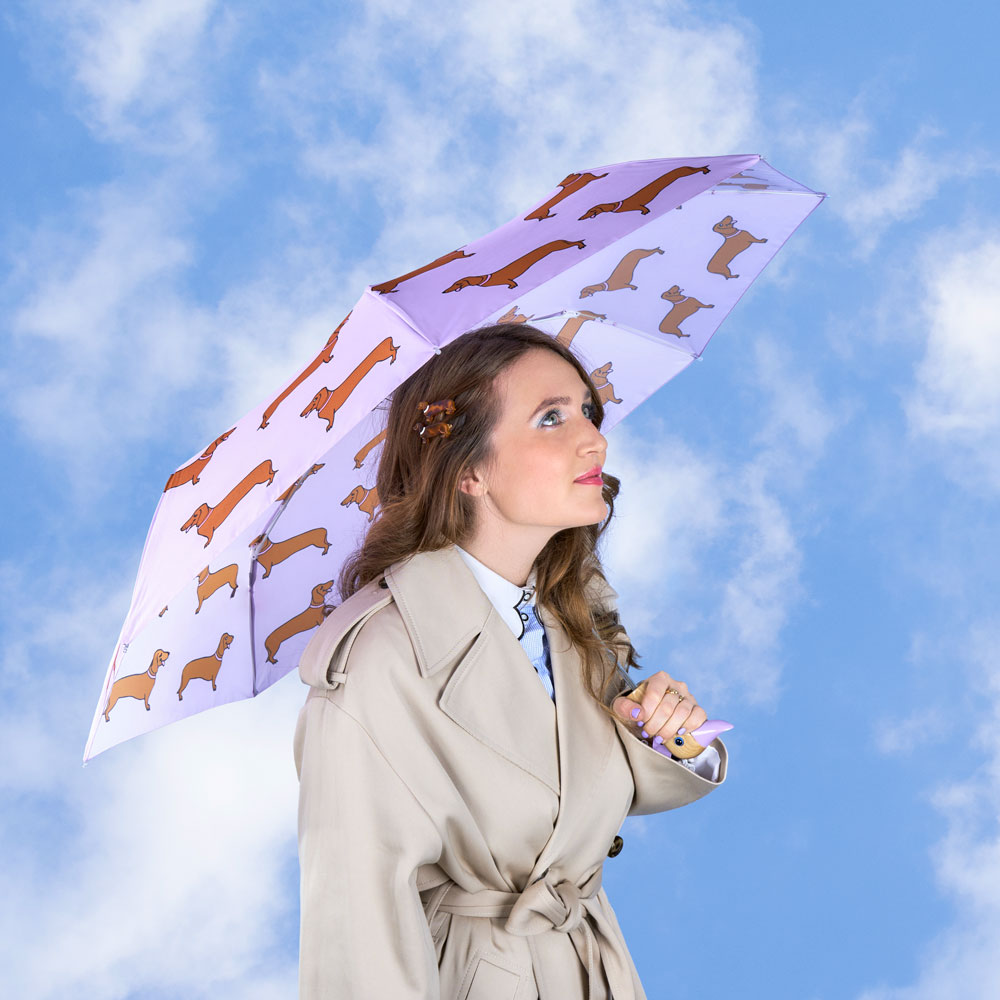 Dachshund Umbrella