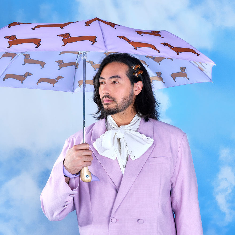 Dachshund Umbrella