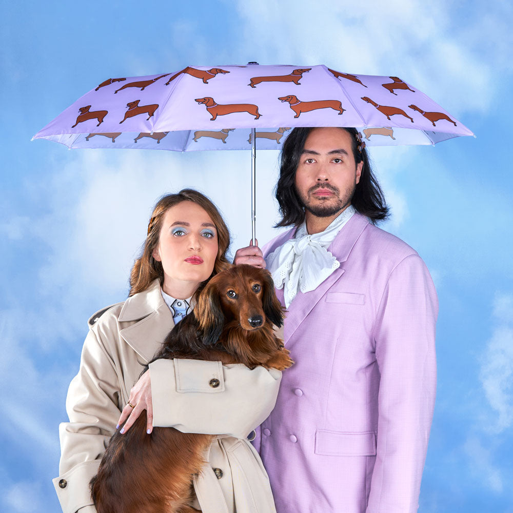 Dachshund Umbrella