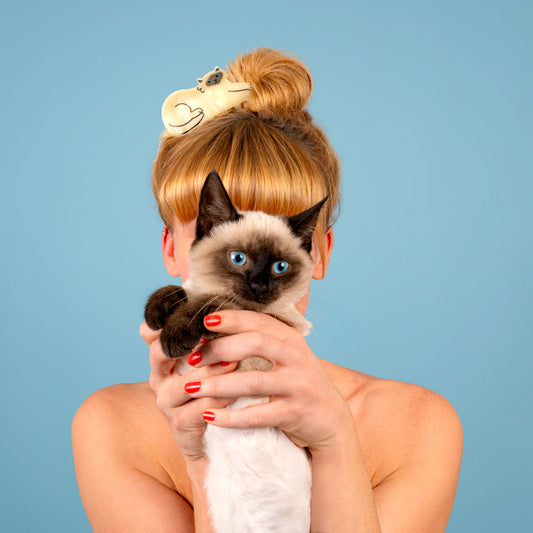 Pince à cheveux Chat Siamois