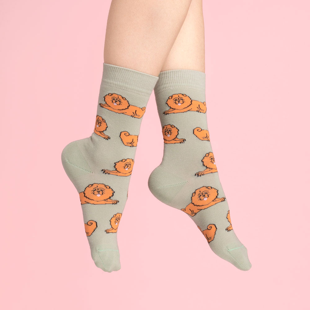 Chaussettes Chow chow