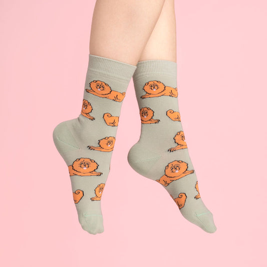 Chow chow Socks