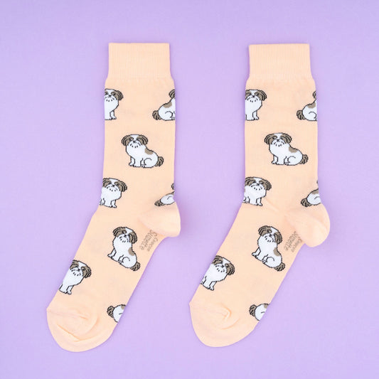 Chaussettes Shih tzu