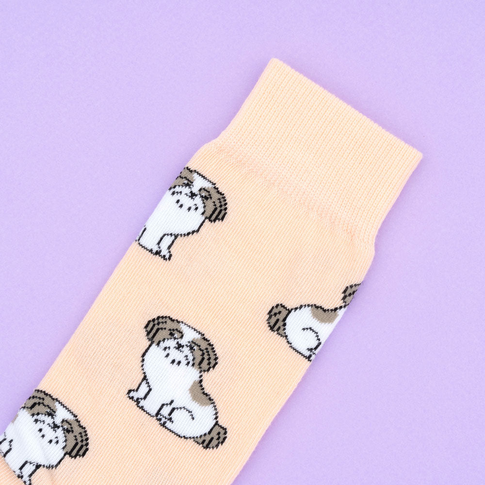 Shih tzu Socks