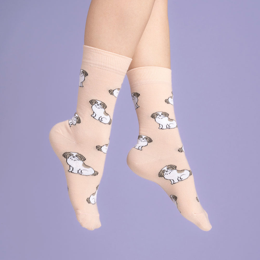 Shih tzu Socks