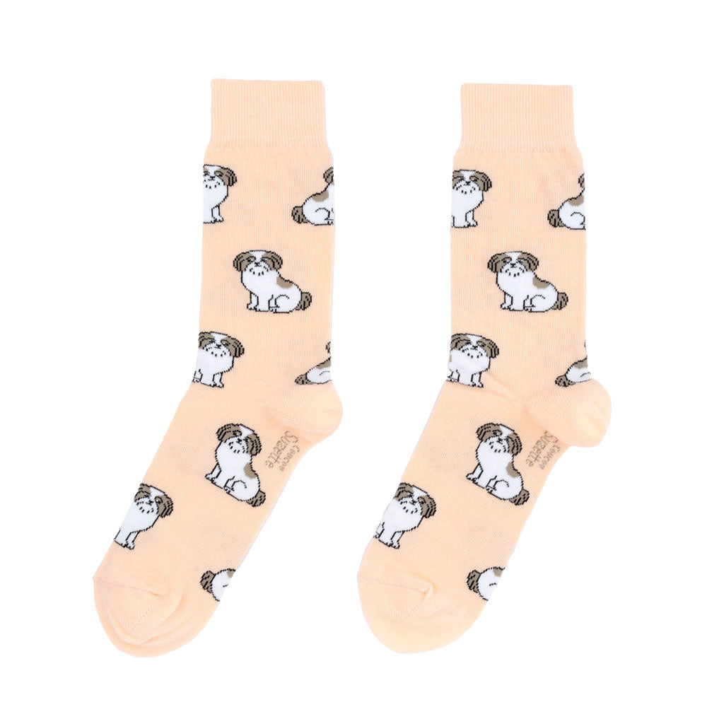 Chaussettes Shih tzu