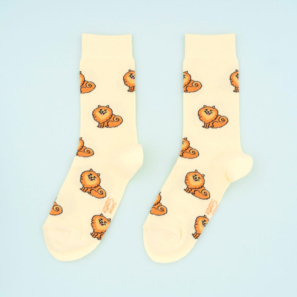 Chaussettes Spitz