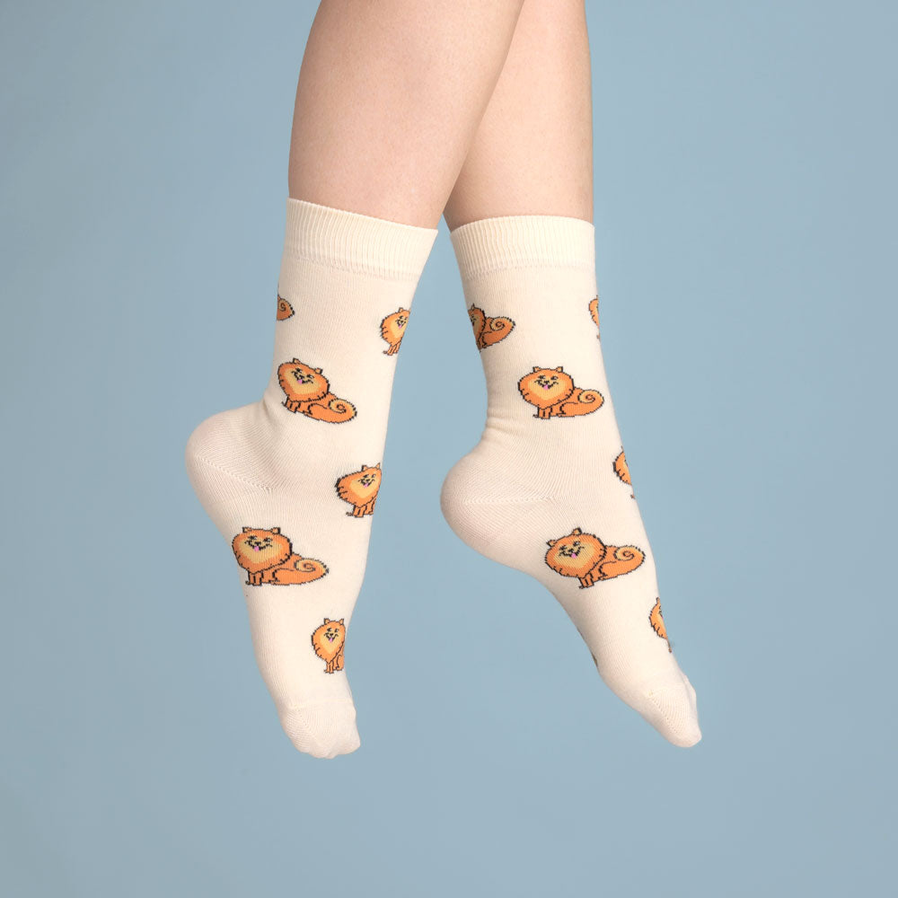 Chaussettes Spitz