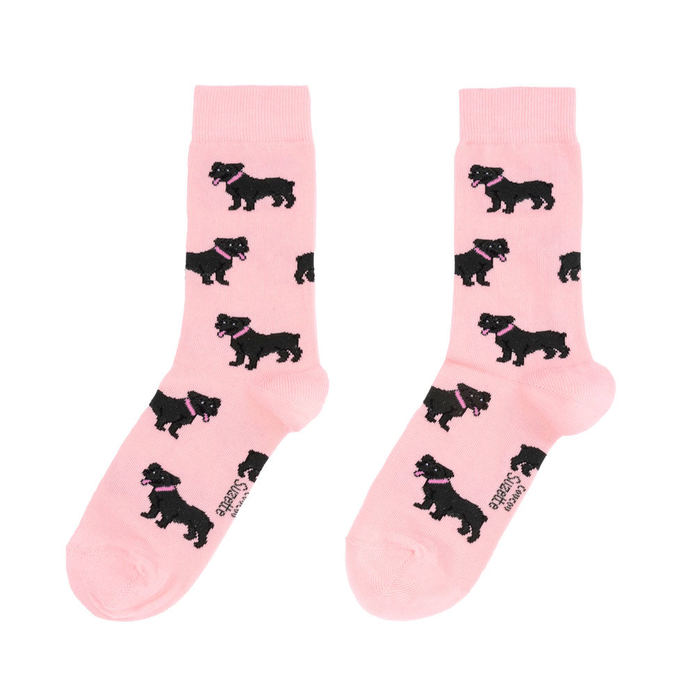 Staffy Socks