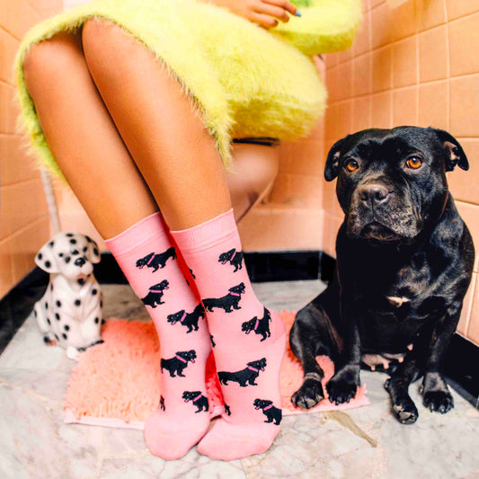 Staffy Socks