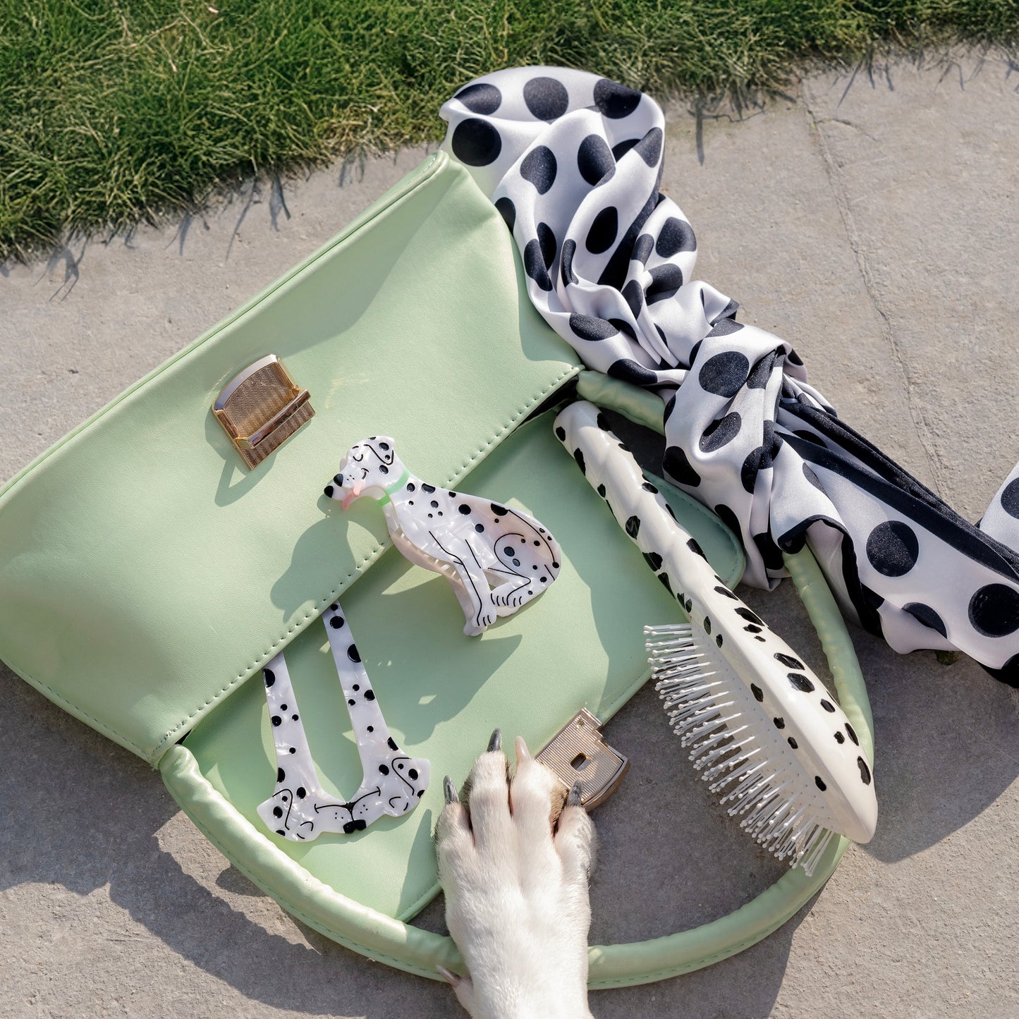 Pince à cheveux Dalmatien x La Bonne Brosse