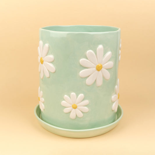 Pot de fleurs Pâquerette