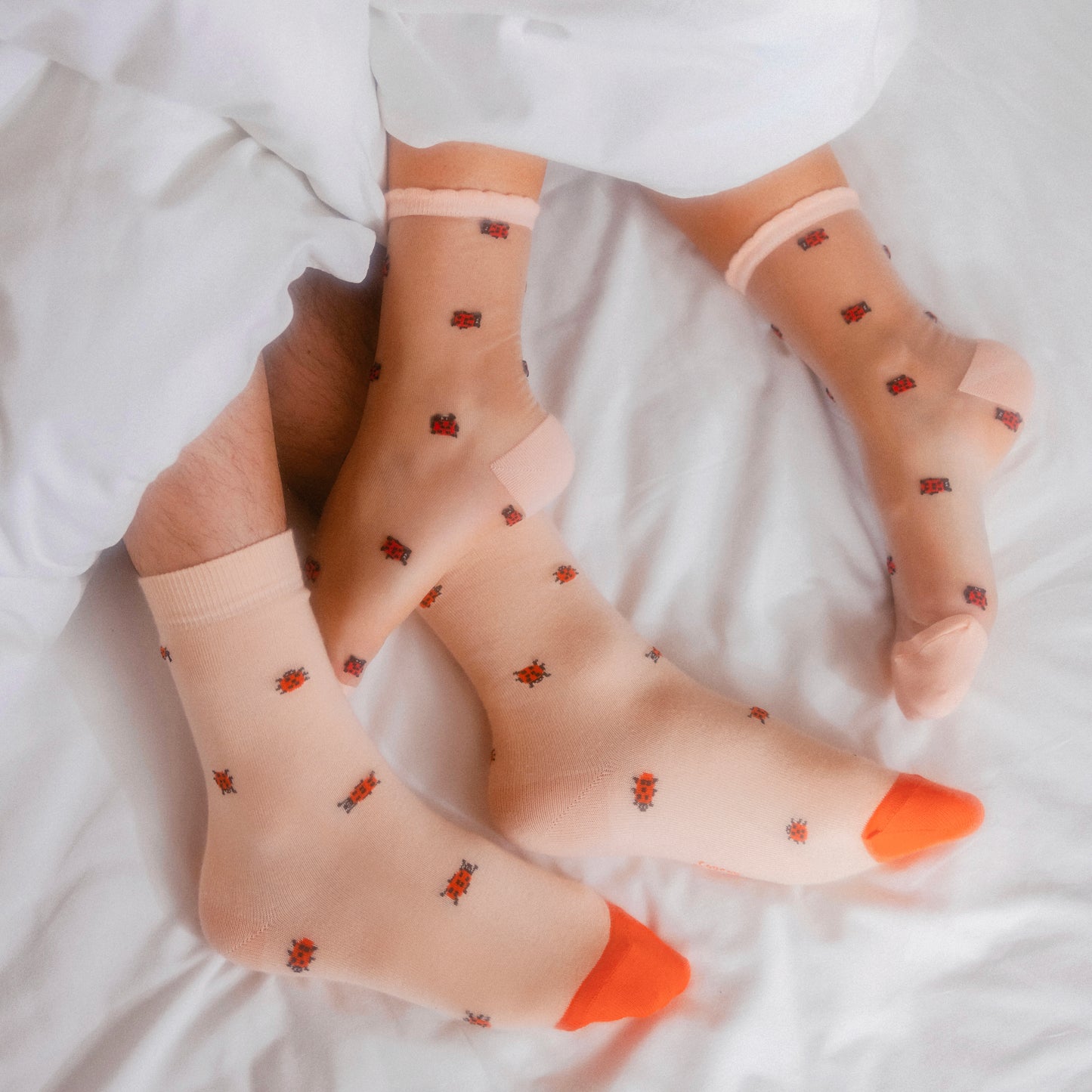 Chaussettes transparentes Coccinelle