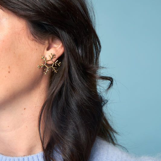 Boucles d'oreilles Flocon