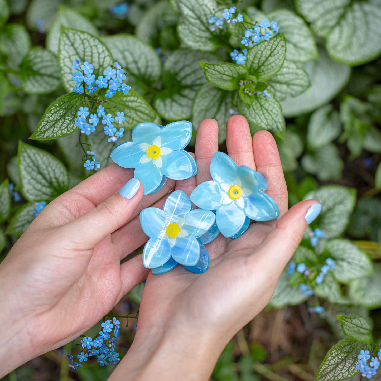 Pince à cheveux Myosotis