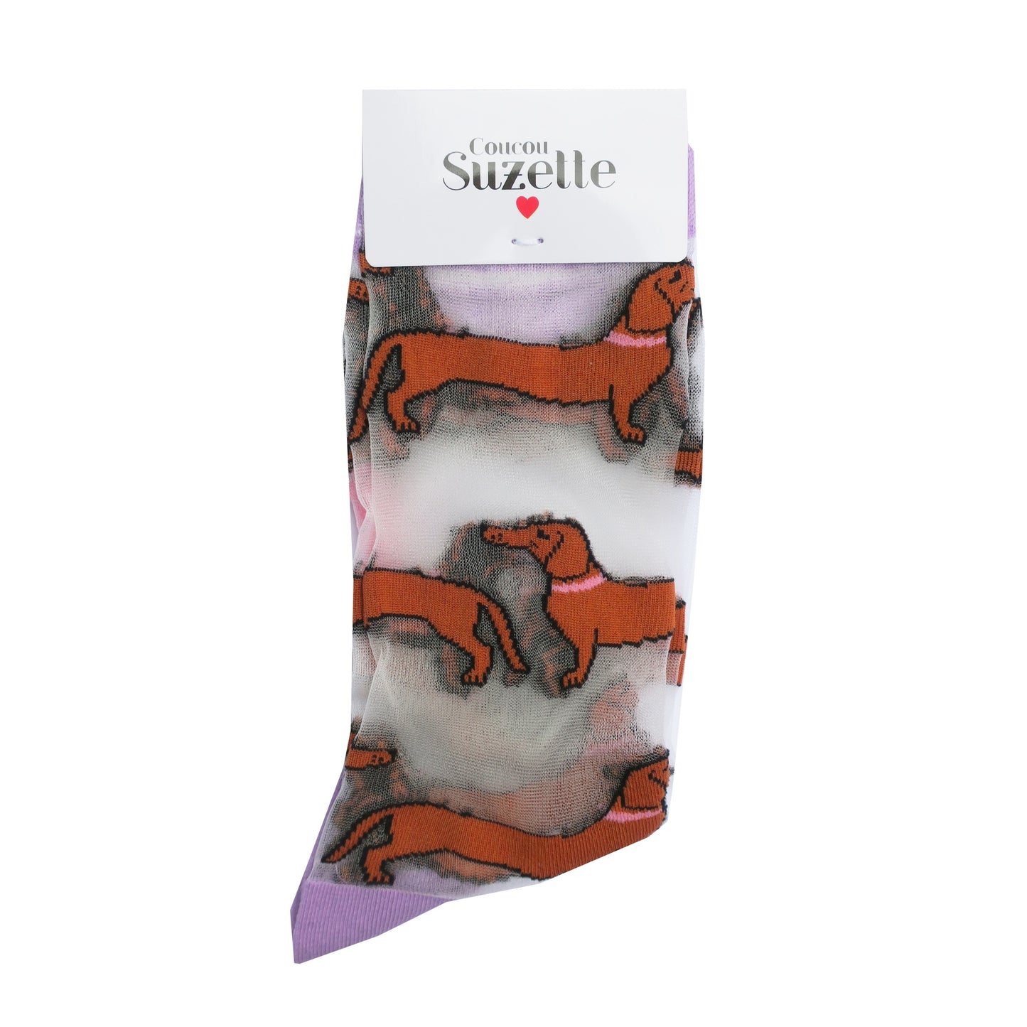 Chaussettes transparentes Teckel - Coucou Suzette