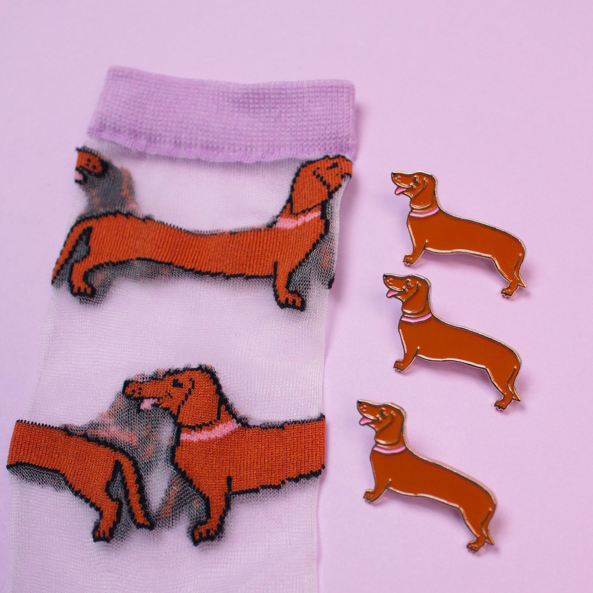 Chaussettes transparentes Teckel - Coucou Suzette