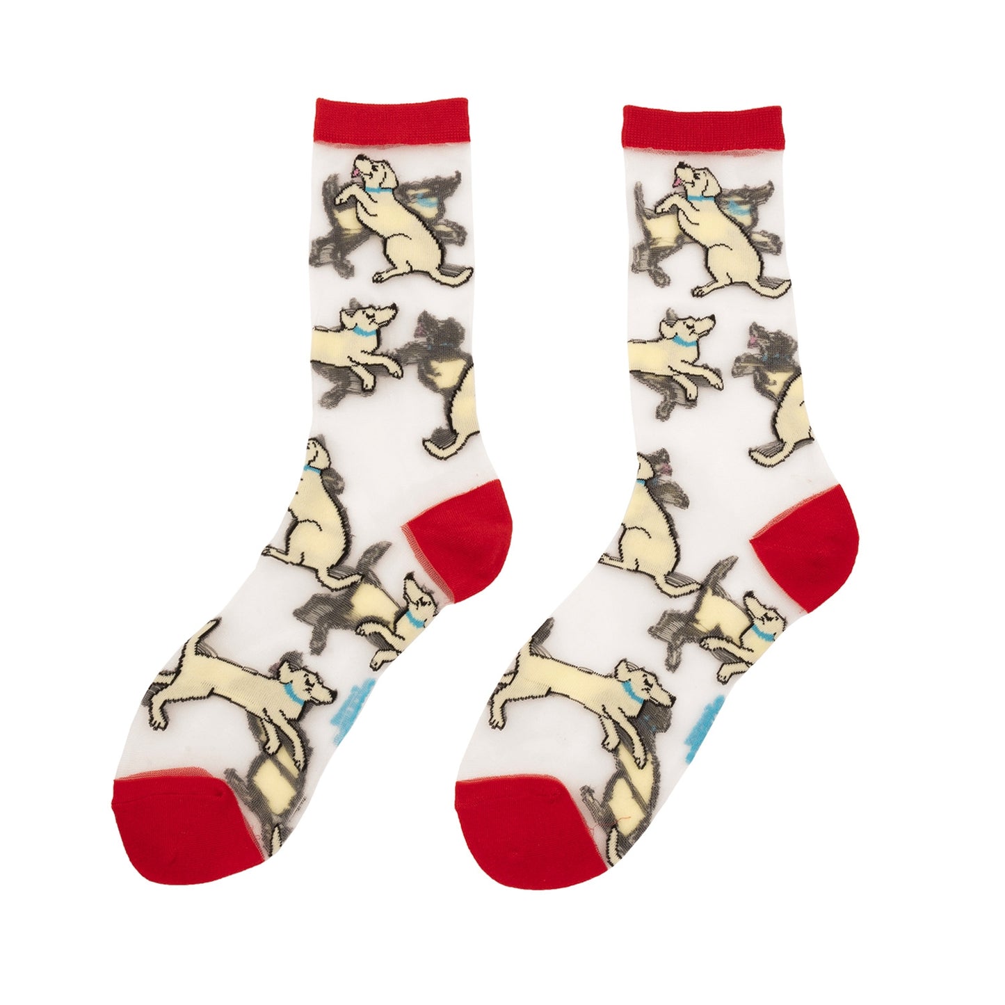 Chaussettes transparentes Labrador - Coucou Suzette