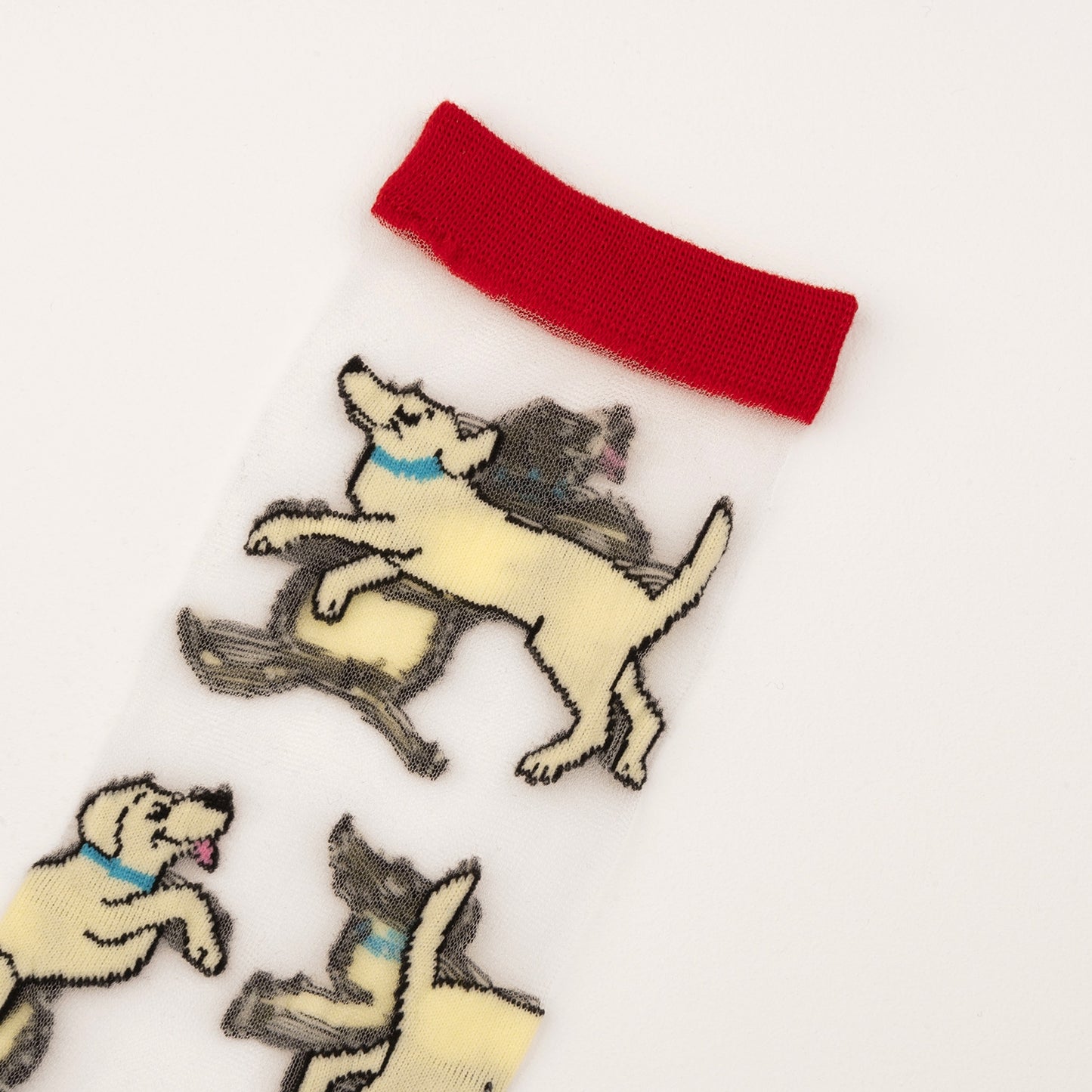 Chaussettes transparentes Labrador - Coucou Suzette