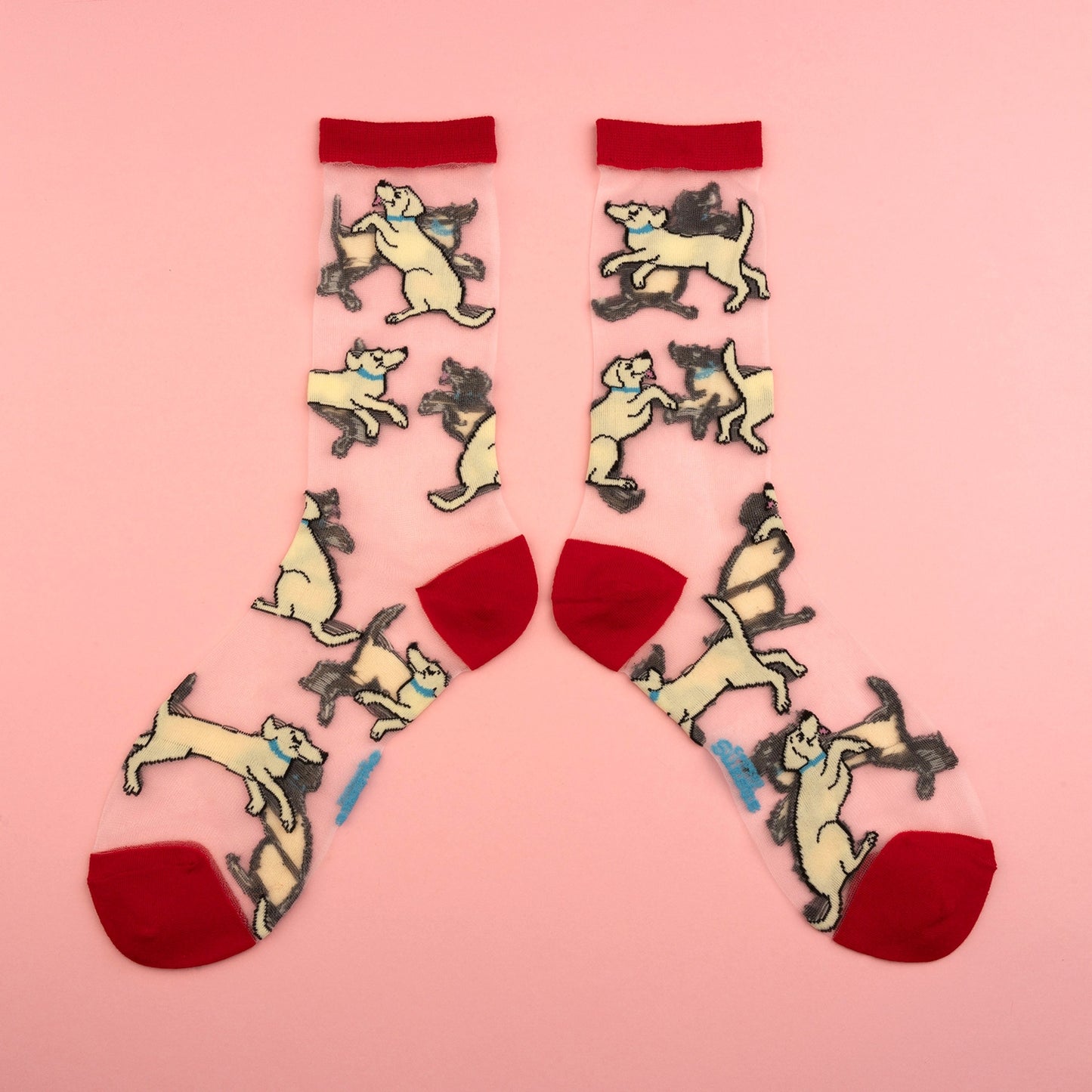 Chaussettes transparentes Labrador - Coucou Suzette