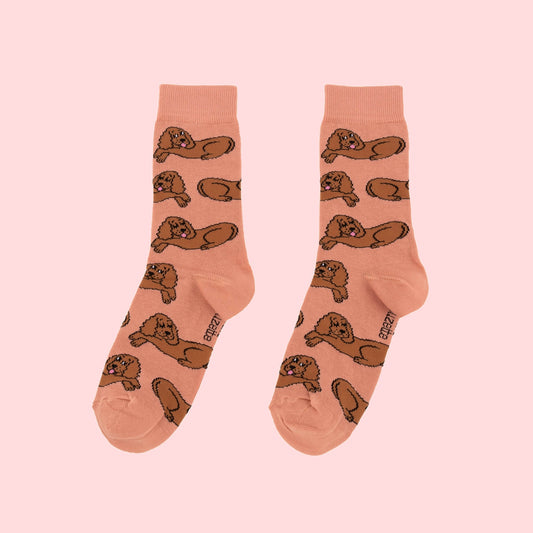Chaussettes Cocker