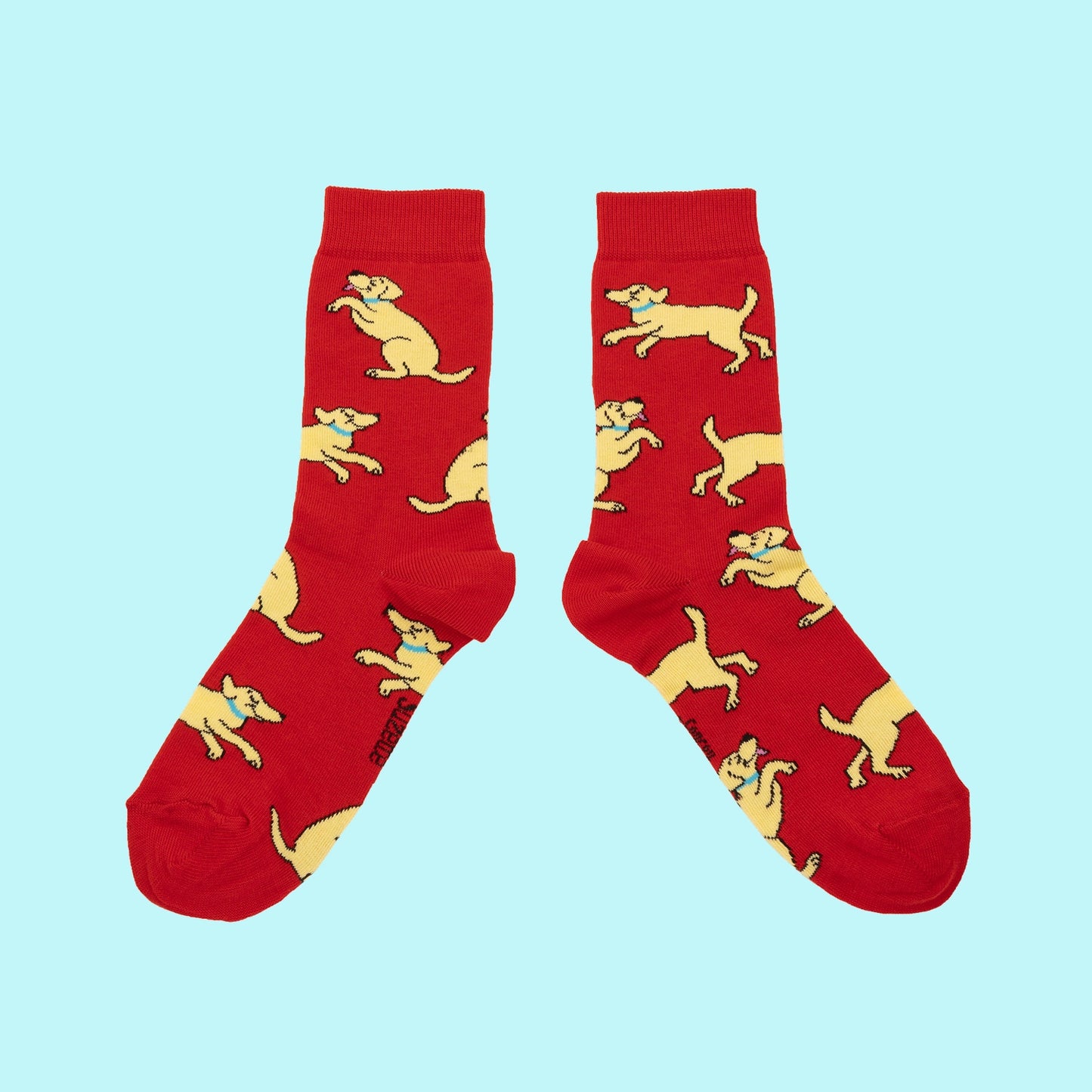 Golden Retriever Socks