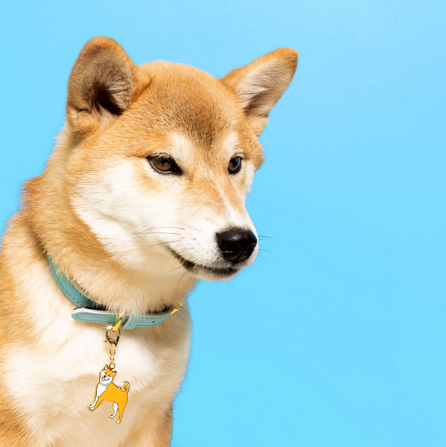 Shiba Keychain / Pet Tag