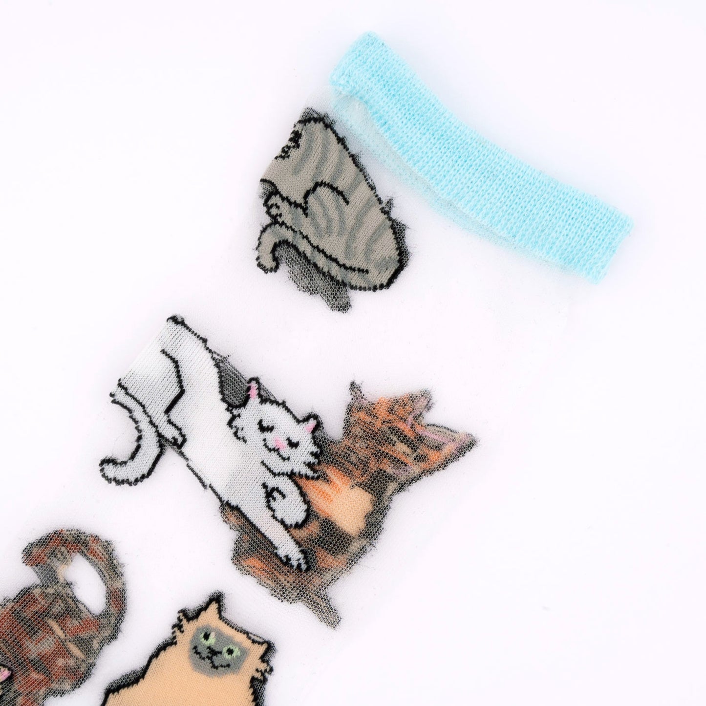 Chaussettes transparentes Miaou - Coucou Suzette