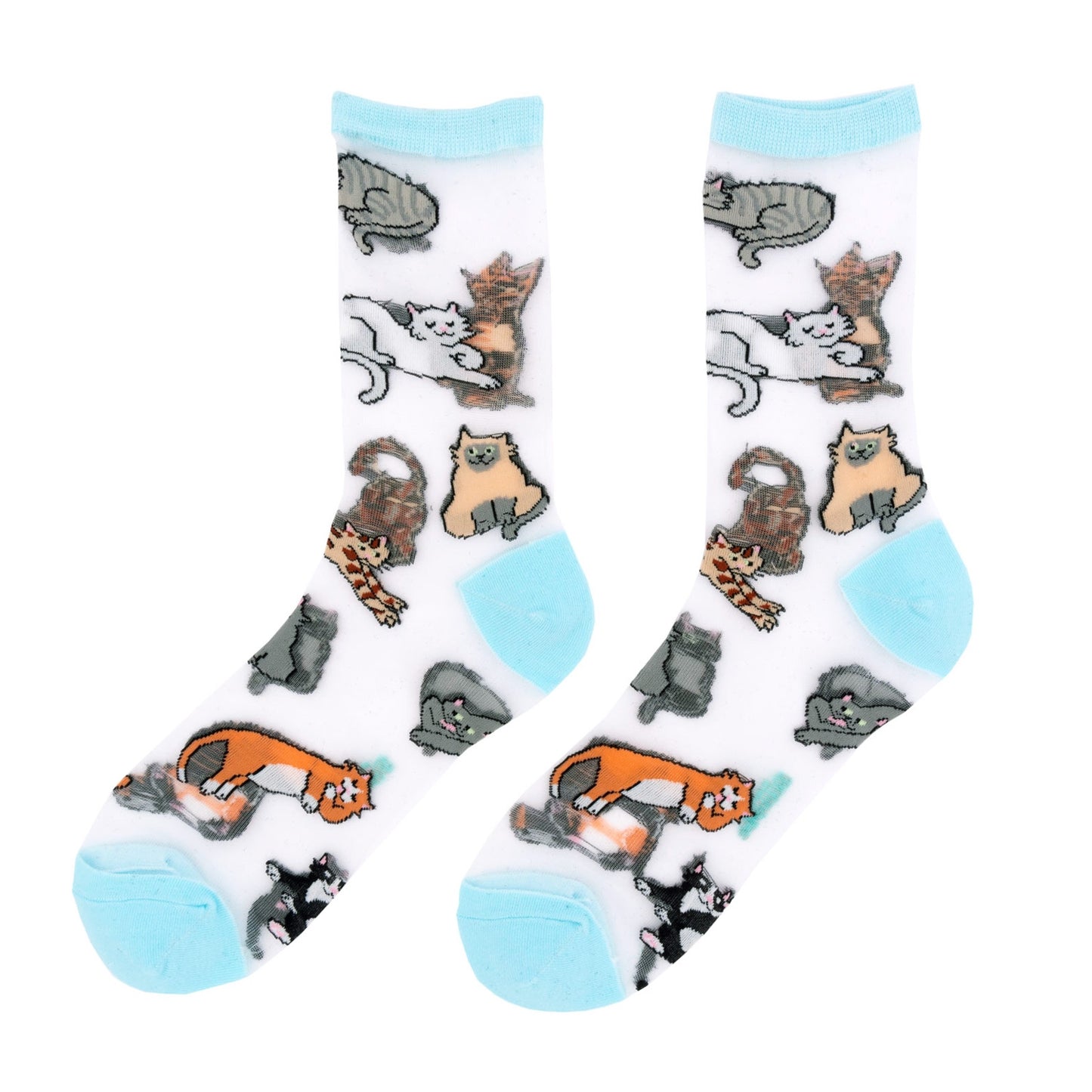 Chaussettes transparentes Miaou - Coucou Suzette