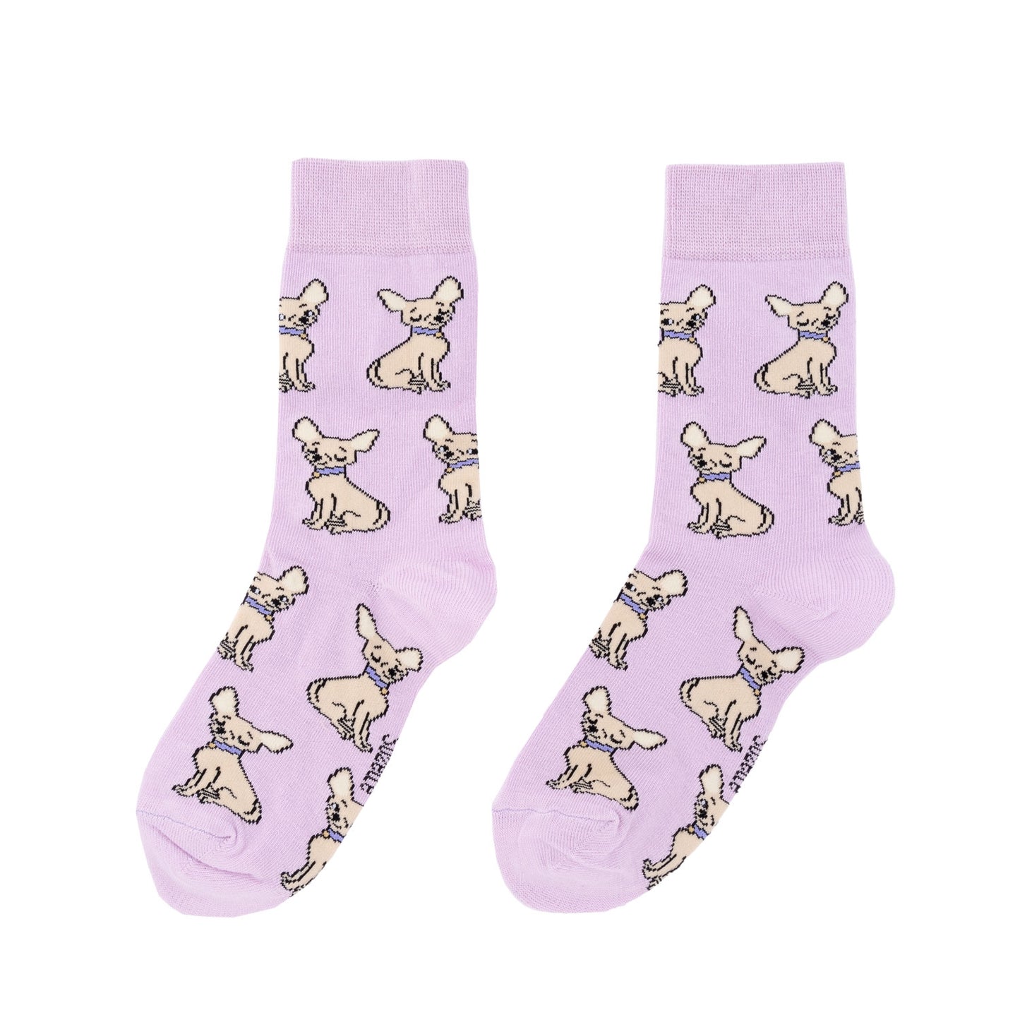 Chaussettes Chihuahua - Coucou Suzette