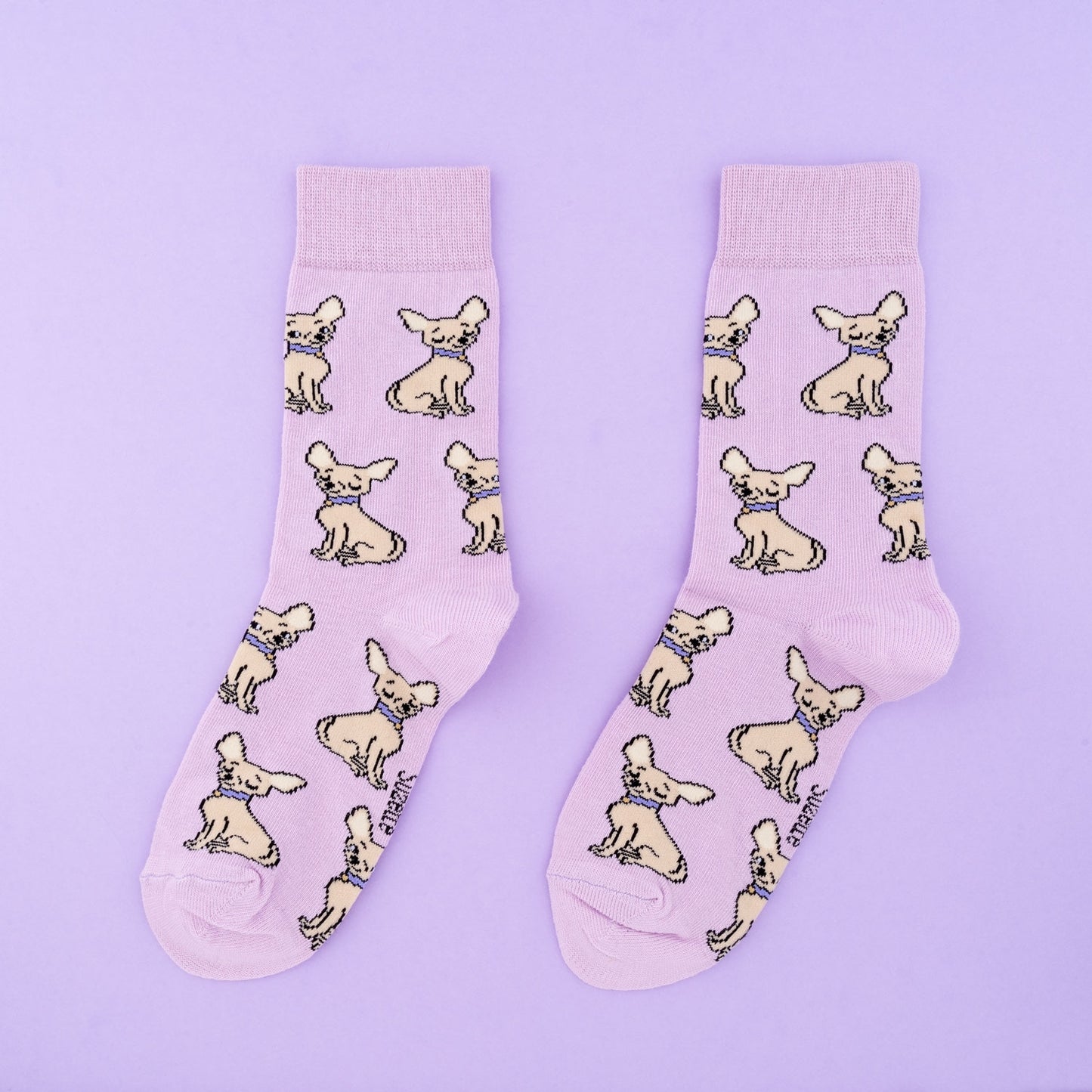 Chaussettes Chihuahua - Coucou Suzette