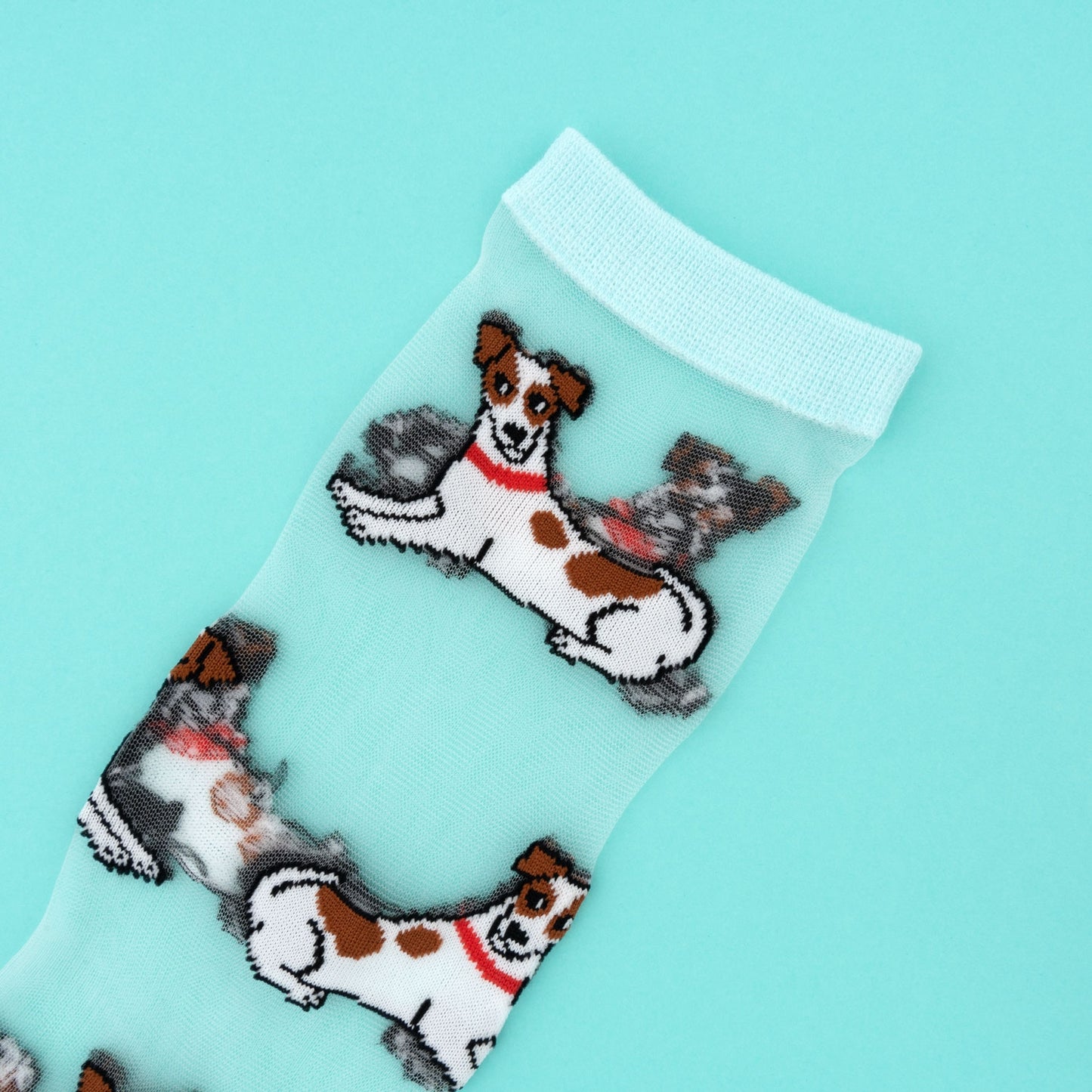 Chaussettes transparentes Jack Russel - Coucou Suzette