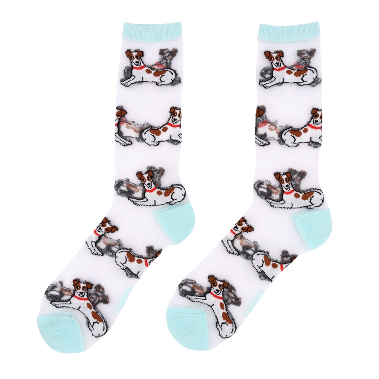 Chaussettes transparentes Jack Russel - Coucou Suzette