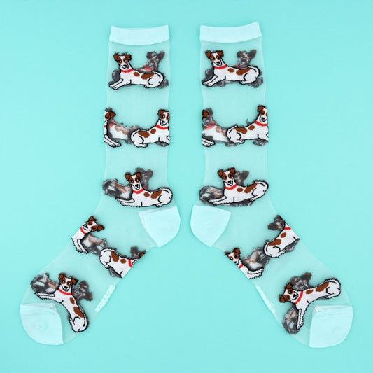 Chaussettes transparentes Jack Russel