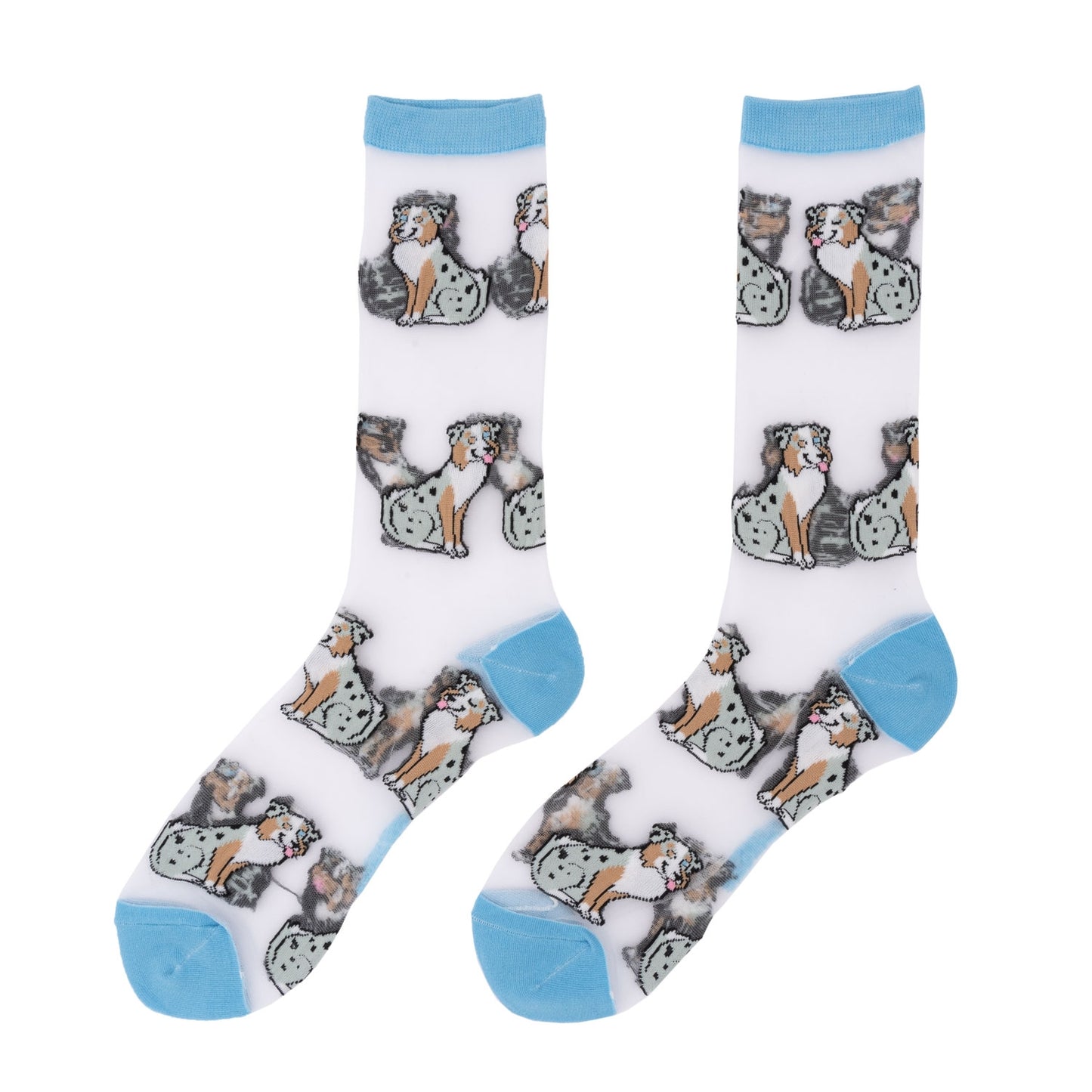 Chaussettes transparentes Berger Australien - Coucou Suzette