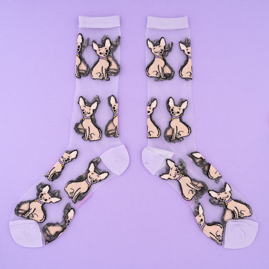 Chaussettes transparentes Chihuahua