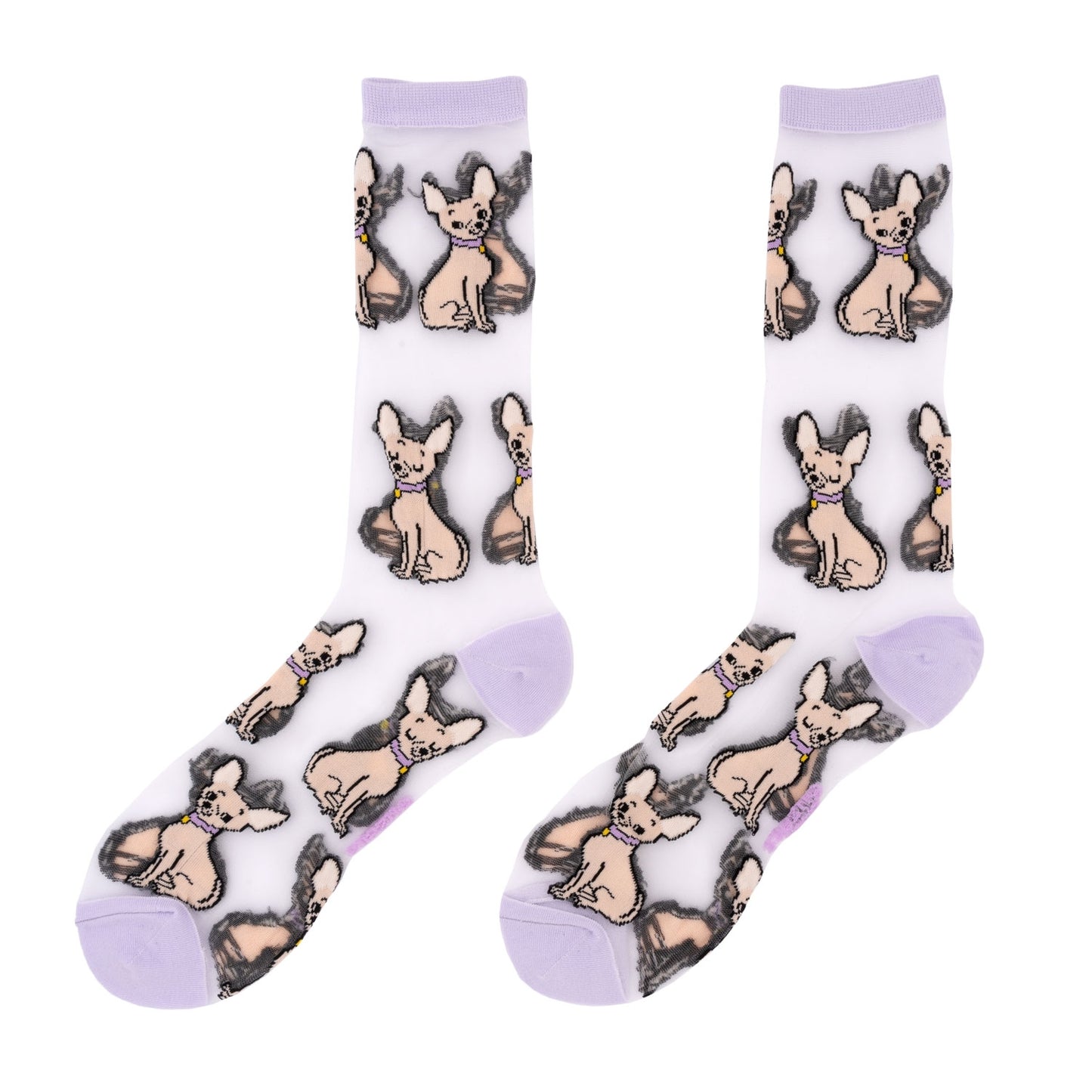 Chaussettes transparentes Chihuahua - Coucou Suzette
