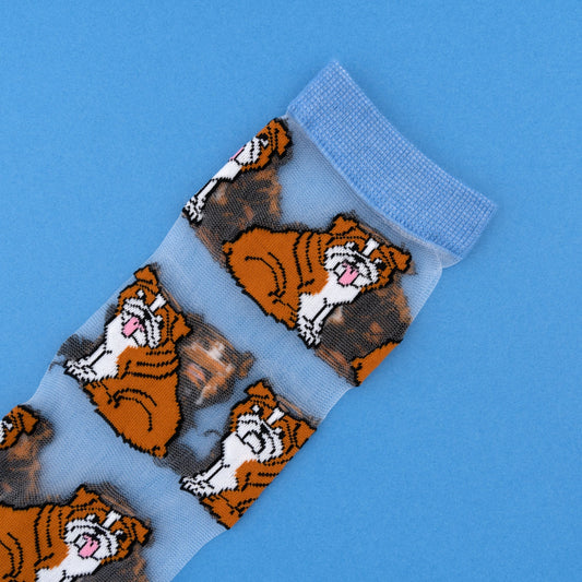 Chaussettes transparentes Bouledogue Anglais - Coucou Suzette