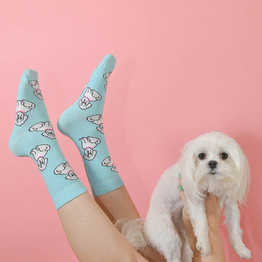 Chaussettes Bichon