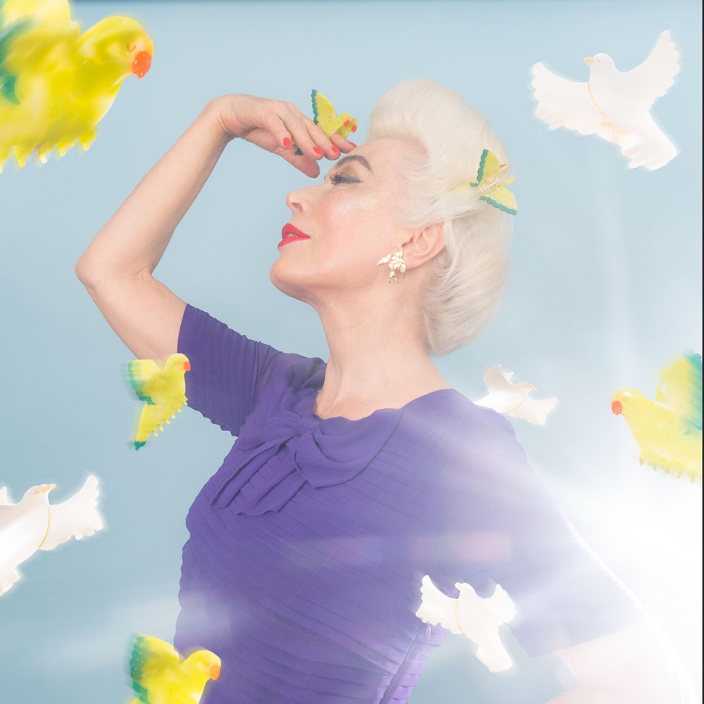 Pince à cheveux Colombe - Coucou Suzette