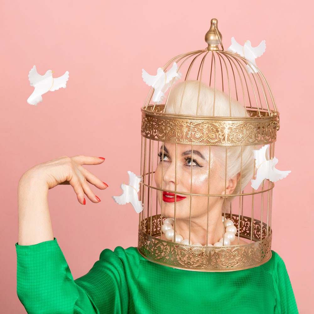 Pince à cheveux Colombe - Coucou Suzette